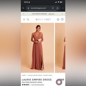 Birdy Grey brand bridesmaid dress.